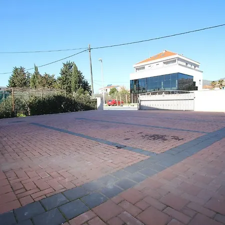 Pranjic *